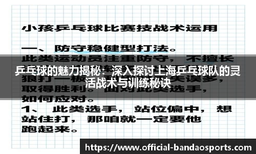 乒乓球的魅力揭秘：深入探讨上海乒乓球队的灵活战术与训练秘诀